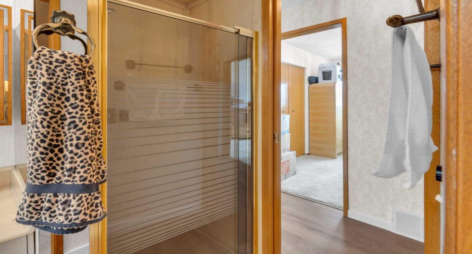 Glass shower