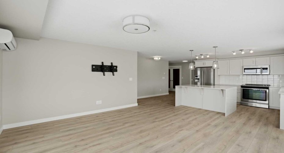 Living room and kitchen