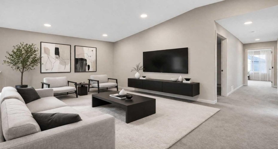 Bonus Room with Vaulted Ceilings