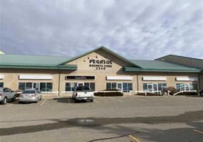 2340 Pegasus Way, Calgary, Alberta T2E 8M5, ,Commercial,For Sale,Pegasus,A2298529
