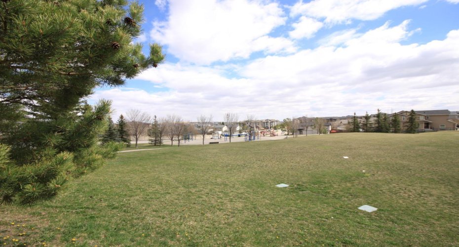 Park