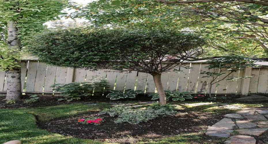 1712 25 Street, Calgary, Alberta T3C1J6, 4 Bedrooms Bedrooms, ,3 BathroomsBathrooms,Residential,For Sale,25,A2296477