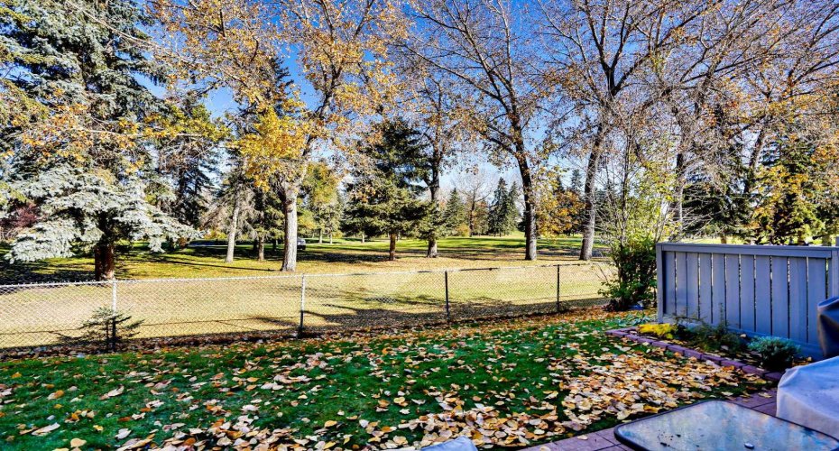 Back Yard on Golf Course