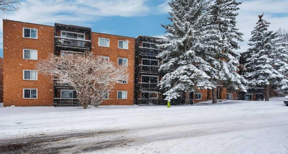 507 57 Avenue, Calgary, Alberta T2Y 0H2, 1 Bedroom Bedrooms, ,1 BathroomBathrooms,Residential,For Sale,57,A2297218