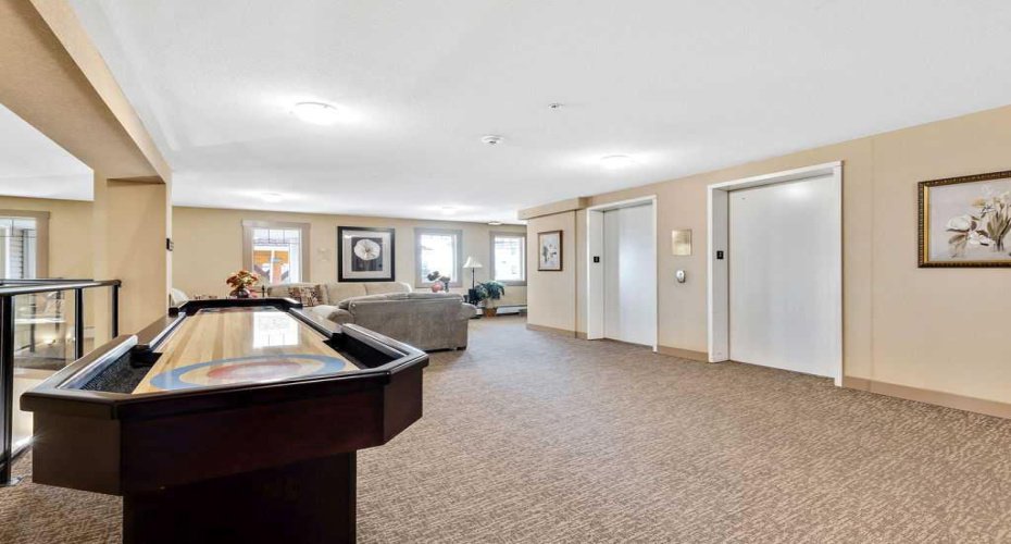 amenities - shuffleboard