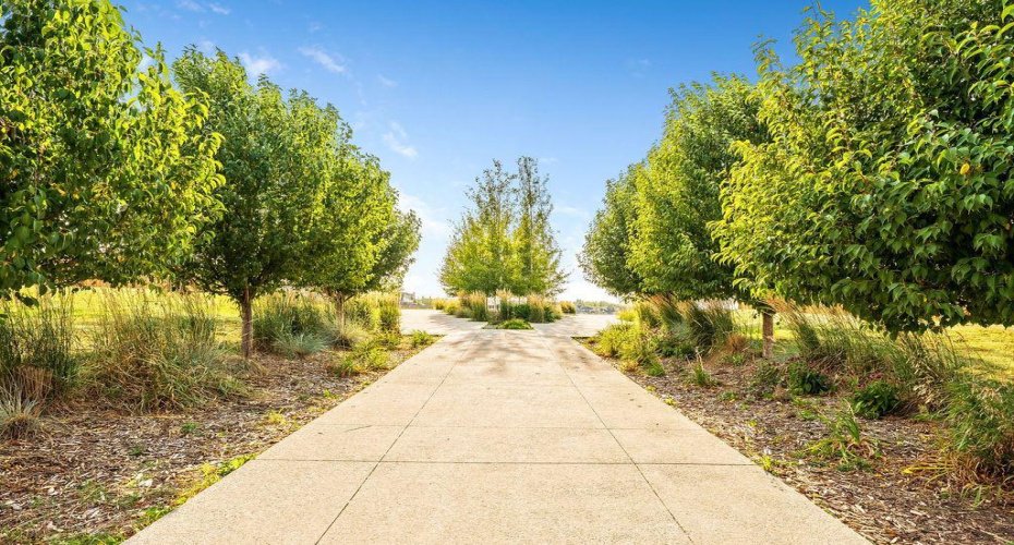 Nearby pathways gently wind down through the ravine, offering direct access to the Bow River.