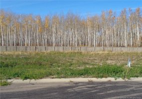21 Bear Creek Drive, High Level, Alberta T0H 1Z0, ,Land,For Sale,Bear Creek,GP214490