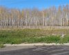 21 Bear Creek Drive, High Level, Alberta T0H 1Z0, ,Land,For Sale,Bear Creek,GP214490
