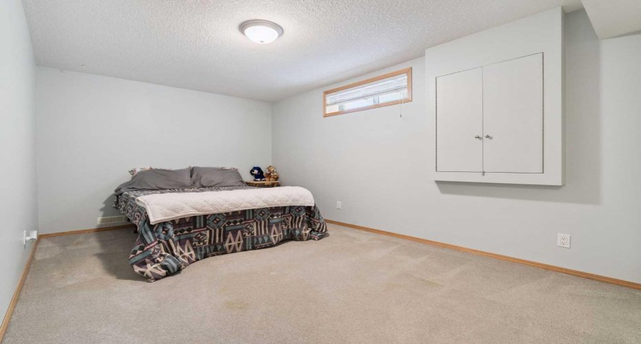 Secondary basement bedroom