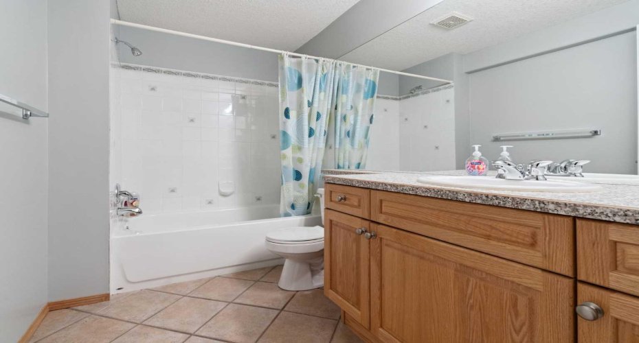 Full Bathroom in Basement