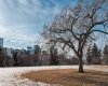 Views to downtown from Rotary Park
