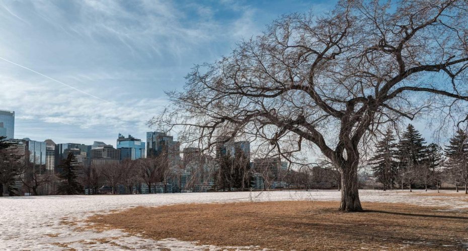 Views to downtown from Rotary Park