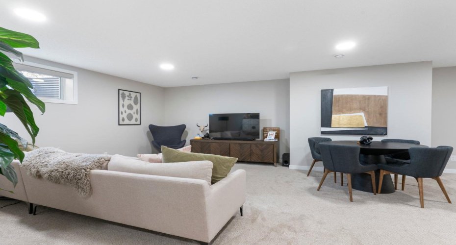 Lower level family room