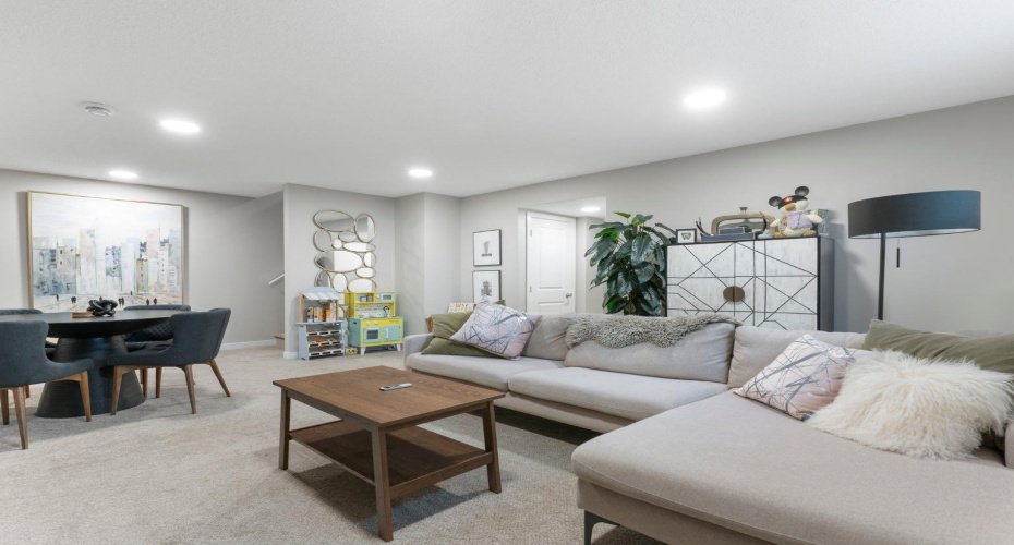 Lower level family room