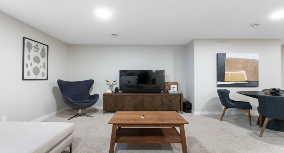 Lower level family room