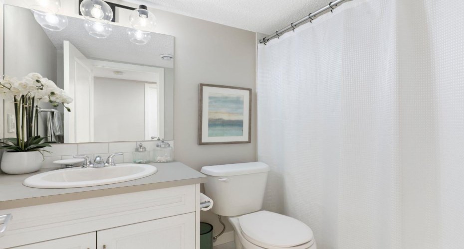 Lower level full bathroom