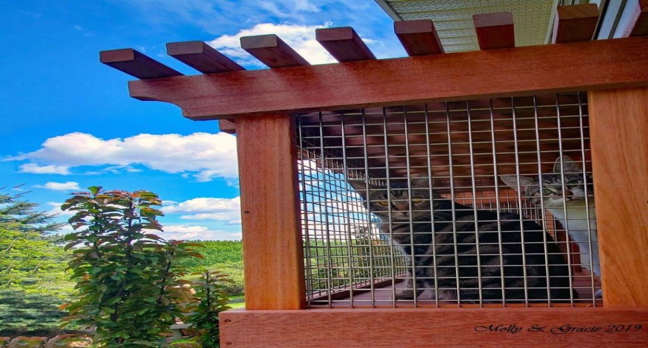 260048 Bearspaw Road, Rural Rocky View County, Alberta T3R1H4, 4 Bedrooms Bedrooms, ,3 BathroomsBathrooms,Residential,For Sale,Bearspaw,A2300152