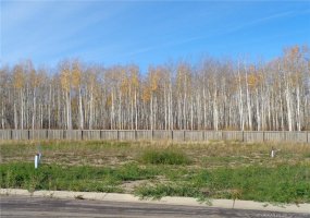 19 Bear Creek Drive, High Level, Alberta T0H 1Z0, ,Land,For Sale,Bear Creek,GP214489