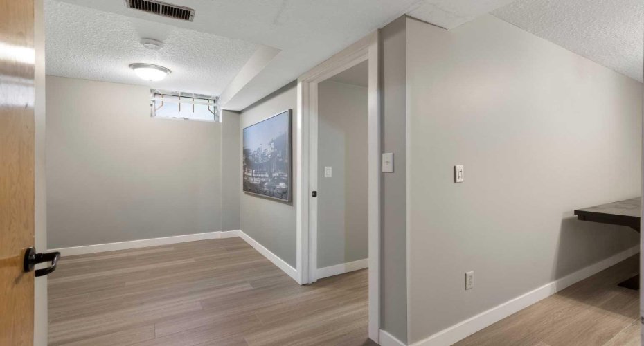 Basement living room