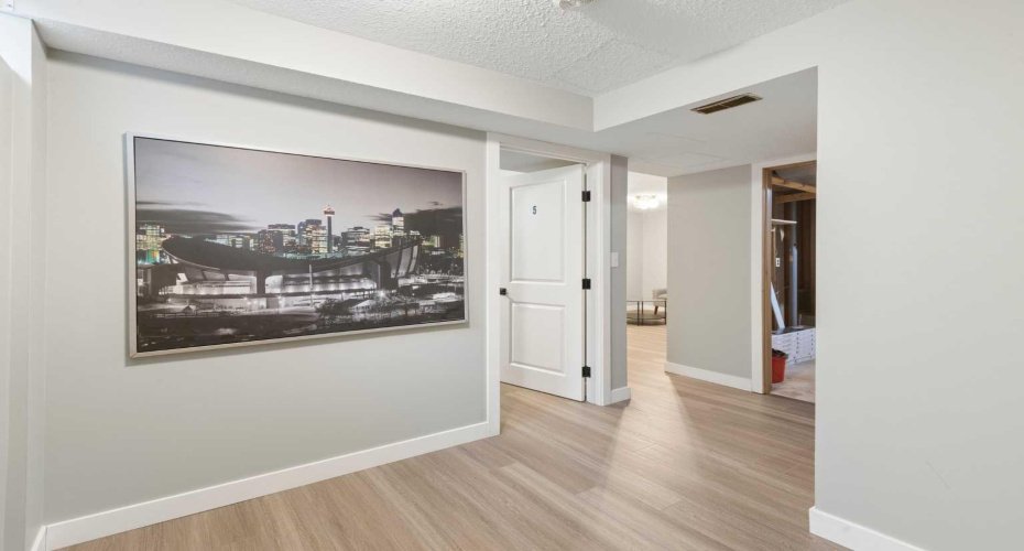 Basement living room