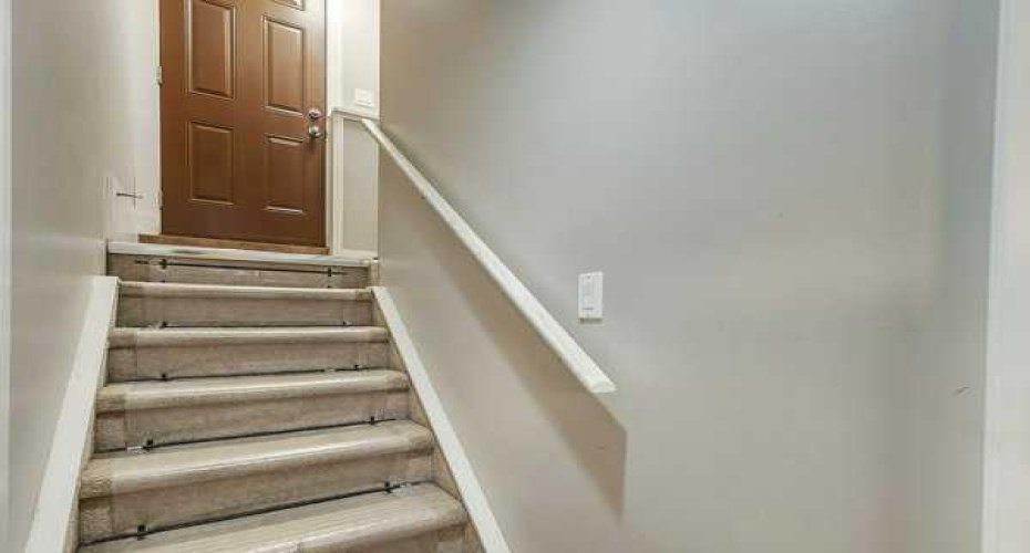 Basement Stairs