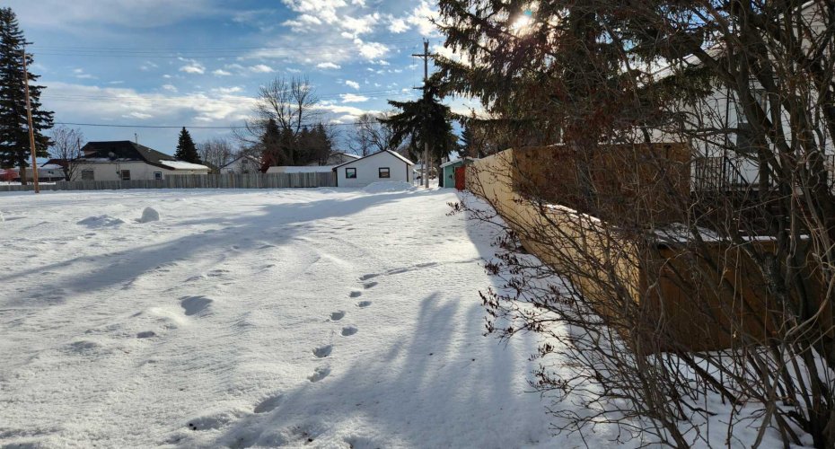 111 Main, Hay Lakes, Alberta T0B 1W0, ,Land,For Sale,Main,A2289040