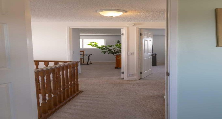 283 Abinger Crescent, Calgary, Alberta T2A6L2, 4 Bedrooms Bedrooms, ,3 BathroomsBathrooms,Residential,For Sale,Abinger,A2298921