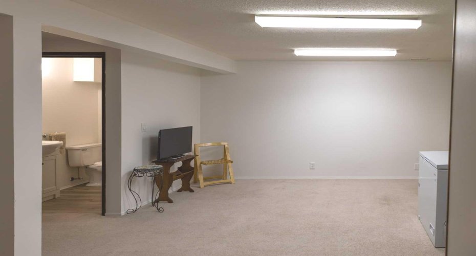 Basement Living Room