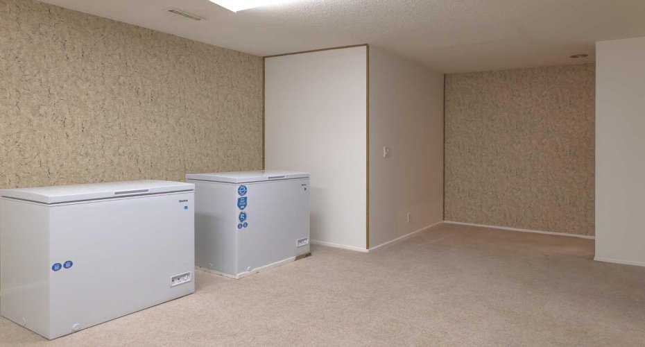 Basement Living Room