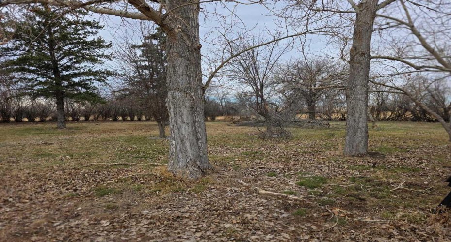 80074 HWY 36, Rural Taber, M.D. of, Alberta T0K2P0, 4 Bedrooms Bedrooms, ,2 BathroomsBathrooms,Residential,For Sale,HWY 36,A2301532