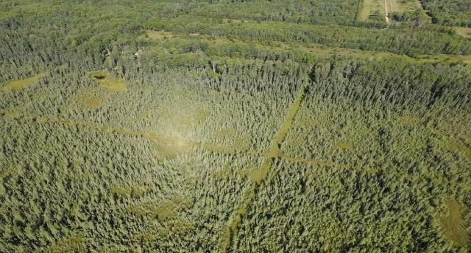 SE 9 85 22 W5 TWP 851A, Rural Northern Lights, County of, Alberta T8S1S5, ,Land,For Sale,TWP 851A,A2303318