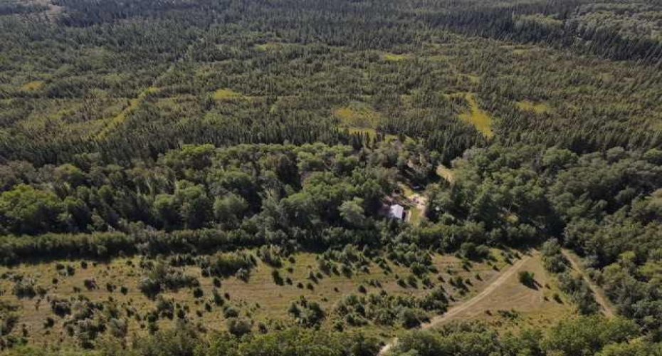 SE 9 85 22 W5 TWP 851A, Rural Northern Lights, County of, Alberta T8S1S5, ,Land,For Sale,TWP 851A,A2303318