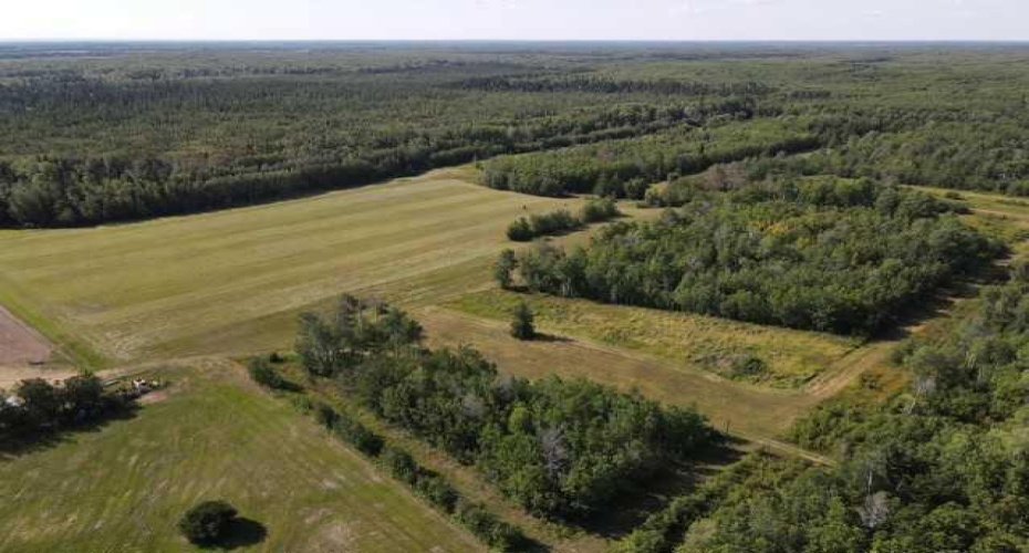 SE 9 85 22 W5 TWP 851A, Rural Northern Lights, County of, Alberta T8S1S5, ,Land,For Sale,TWP 851A,A2303318