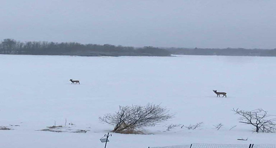 52343 Range Rd 211, Sherwood Park, Alberta T8G 1A6, 4 Bedrooms Bedrooms, ,3 BathroomsBathrooms,Residential,For Sale,Range Rd 211,A2262111