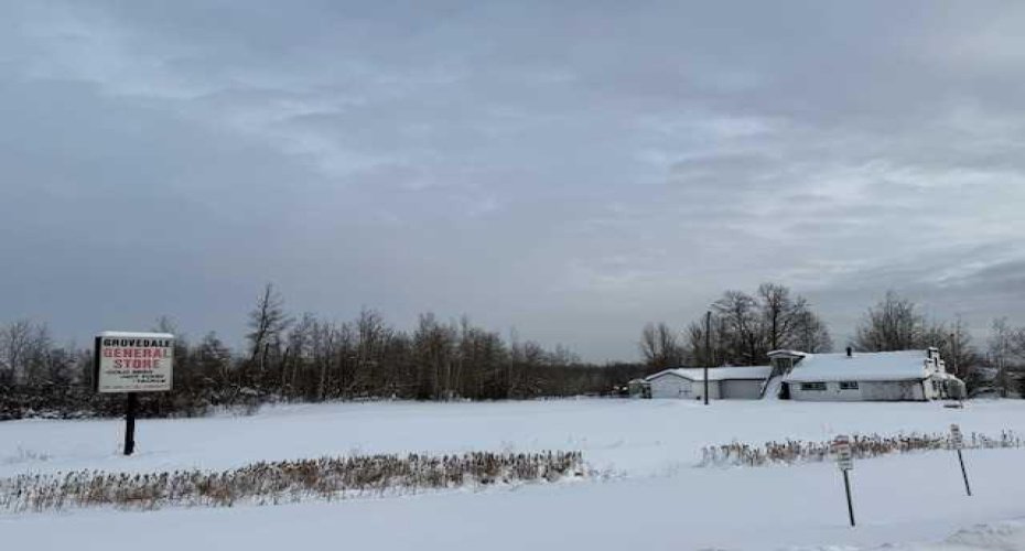 Lot D Main Street, Grovedale, Alberta T0H 1X0, ,Commercial,For Sale,Main,A2276299