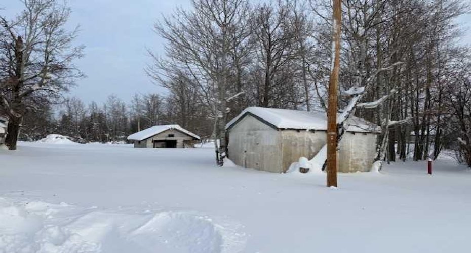 Lot D Main Street, Grovedale, Alberta T0H 1X0, ,Commercial,For Sale,Main,A2276299