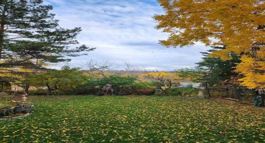 176 1 Street, Medicine Hat, Alberta T1A3Y9, 3 Bedrooms Bedrooms, ,3 BathroomsBathrooms,Residential,For Sale,1,A2282338