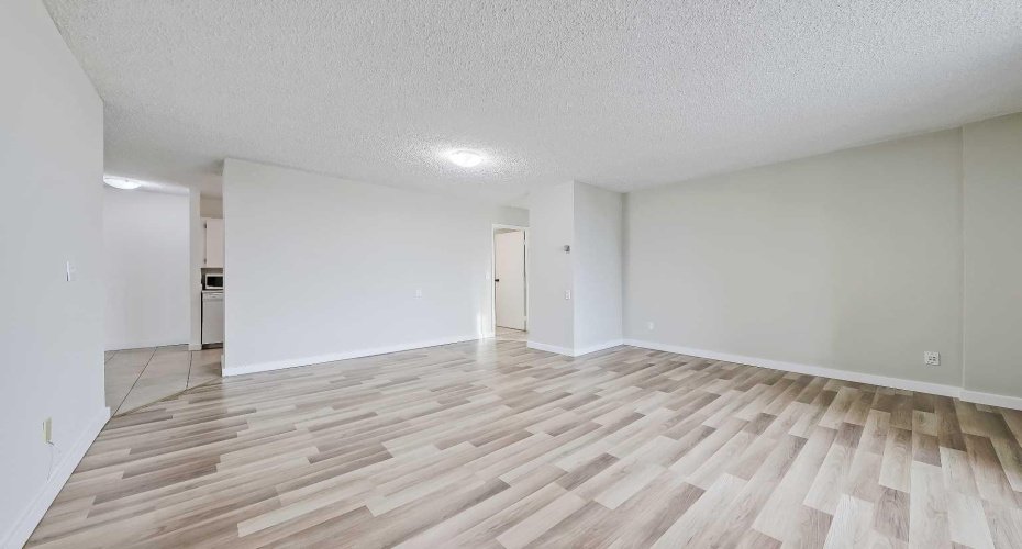 Full wall restoration and paint