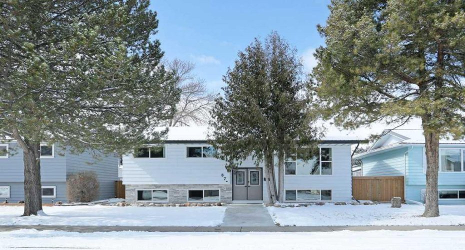 87 Dr. Anderson Park Street, Brooks, Alberta T1R0K5, 5 Bedrooms Bedrooms, ,3 BathroomsBathrooms,Residential,For Sale,Dr. Anderson Park,A2297113