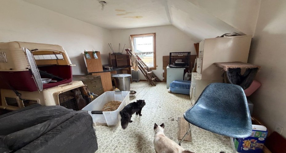 234075 Township Road 280 Road, Rural Wheatland County, Alberta T0J2R0, 3 Bedrooms Bedrooms, ,1 BathroomBathrooms,Residential,For Sale,Township Road 280,A2301939