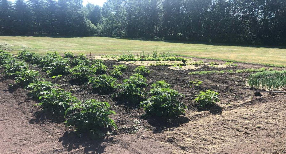 711058 Range Road 64, Rural Grande Prairie No. 1, County of, Alberta T6W 5B8, 4 Bedrooms Bedrooms, ,3 BathroomsBathrooms,Residential,For Sale,Range Road 64,A2302080