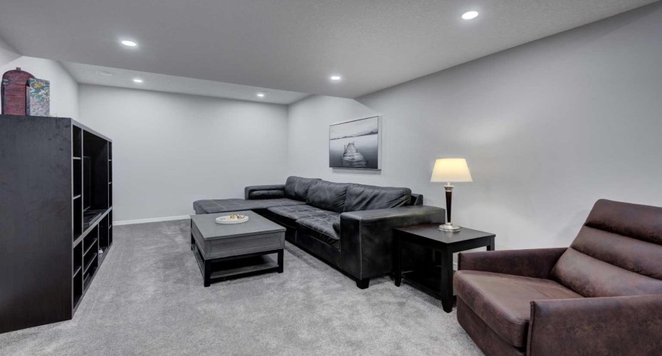 Basement family room