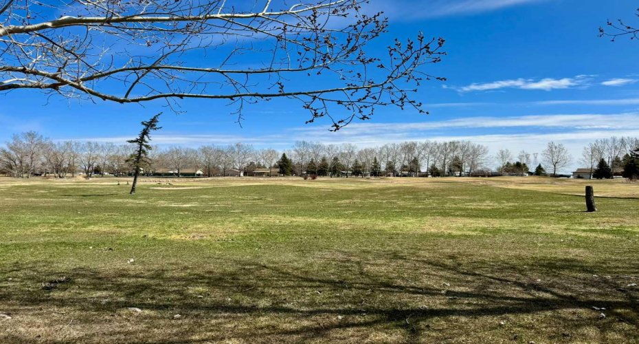 Panorma 2 of the backyard view