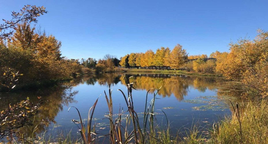 Pond on hole 5 where the shuffle curl happens in winter