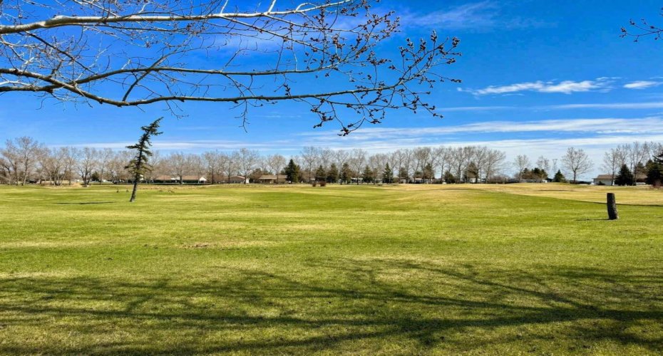 Panorma 2 of the backyard view
