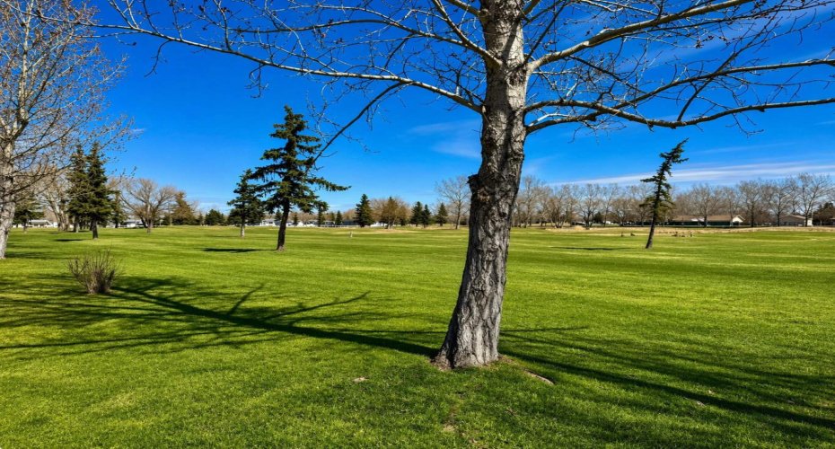 Panorma 3 of the backyard view
