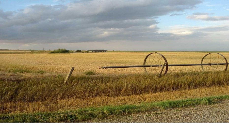 124025 Range Road 214, Picture Butte, Alberta T0K 1V0, 4 Bedrooms Bedrooms, ,3 BathroomsBathrooms,Residential,For Sale,Range Road 214,A2302760