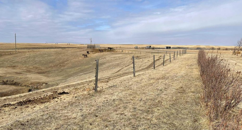 124025 Range Road 214, Picture Butte, Alberta T0K 1V0, 4 Bedrooms Bedrooms, ,3 BathroomsBathrooms,Residential,For Sale,Range Road 214,A2302760