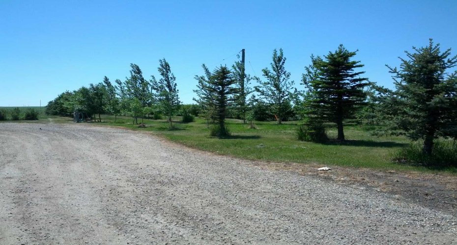 124025 Range Road 214, Picture Butte, Alberta T0K 1V0, 4 Bedrooms Bedrooms, ,3 BathroomsBathrooms,Residential,For Sale,Range Road 214,A2302760