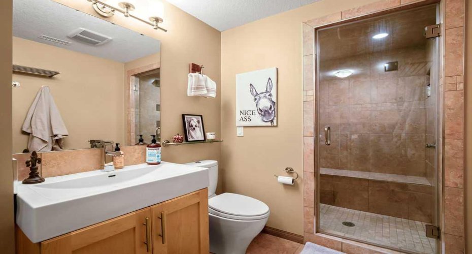 49 Spring Meadows Bay, Okotoks, Alberta T1S2G8, 2 Bedrooms Bedrooms, ,4 BathroomsBathrooms,Residential,For Sale,Spring Meadows,A2302953